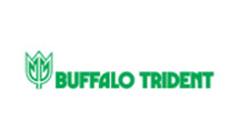 Buffalo Trident Logo